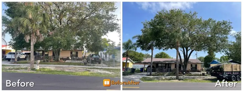 Top-rated residential landscaping in Sebring, FL by Havery Property Services