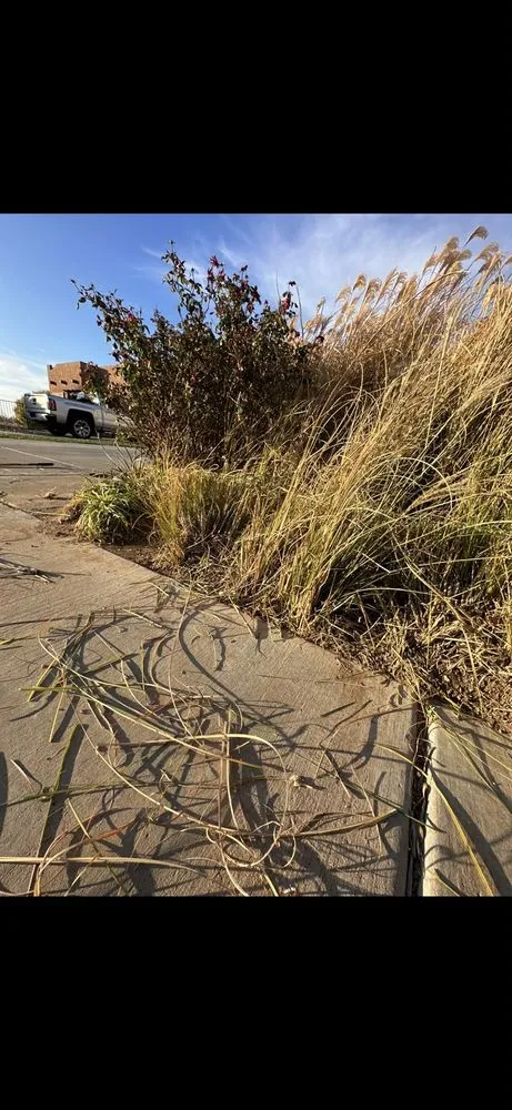 Local garden landscaping experts serving Amarillo, TX - Havins Lawnscapes