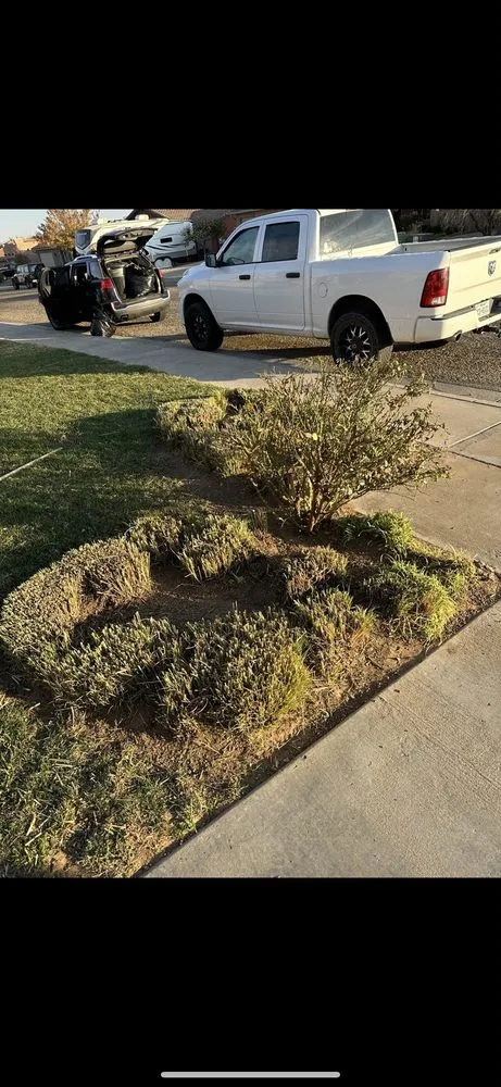 Trusted garden landscaping for outdoor upgrades across Amarillo, TX - Havins Lawnscapes