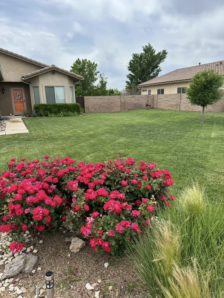 Affordable lawn care service in Amarillo, TX - Havins Lawnscapes