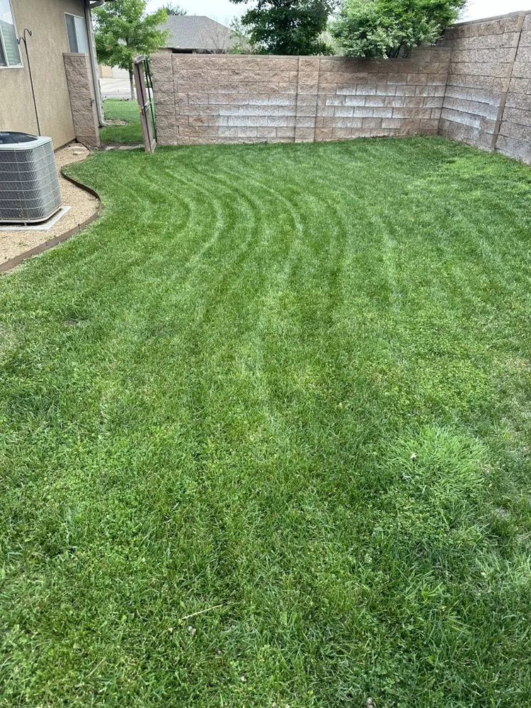 Expert landscaping services for homes in Amarillo, TX by Havins Lawnscapes