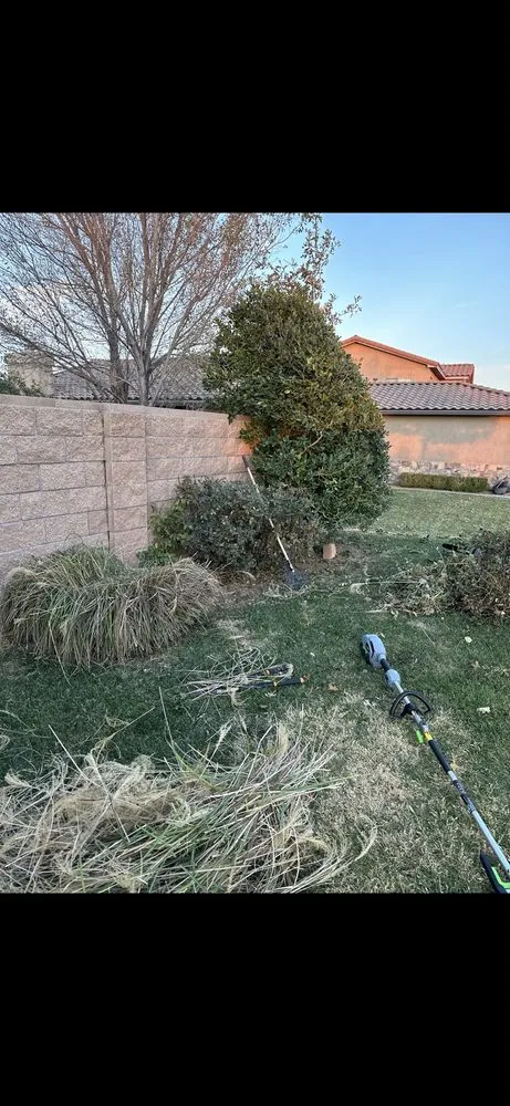 Affordable outdoor landscaping for outdoor upgrades across Amarillo, TX - Havins Lawnscapes