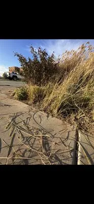 Havins Lawnscapes Logo