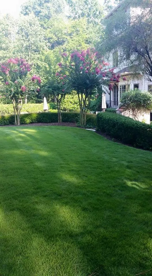 Reliable landscape design with custom design across Pittsboro, NC - Haw River Landcaping