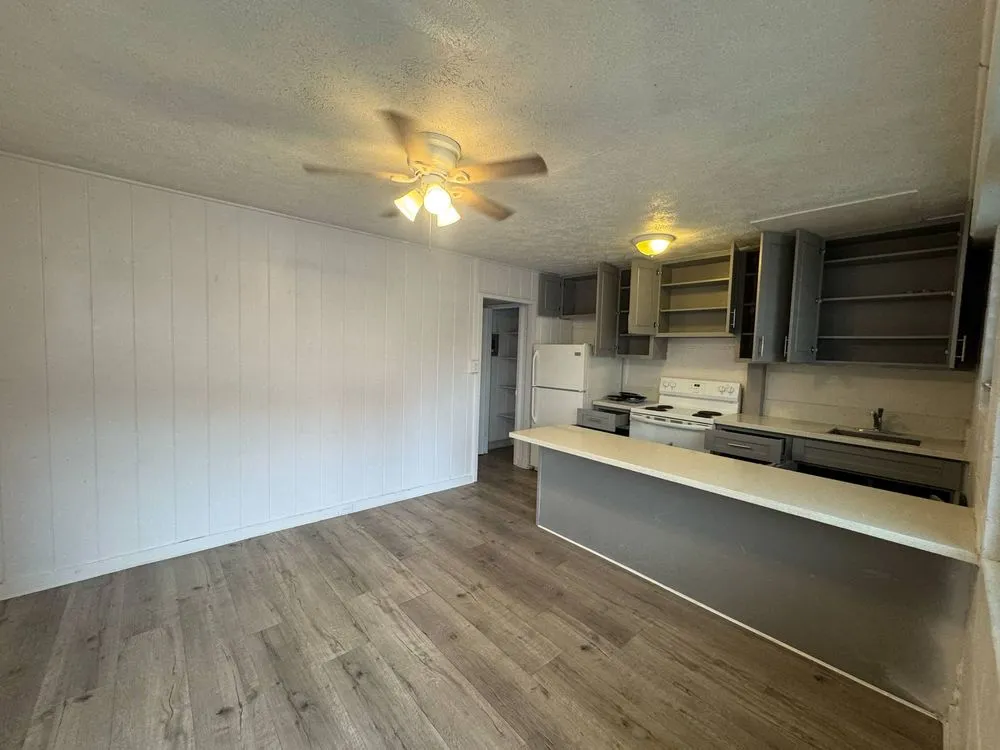 Reliable yard cleanup service in Honolulu, HI - Hawaii Fix Pros