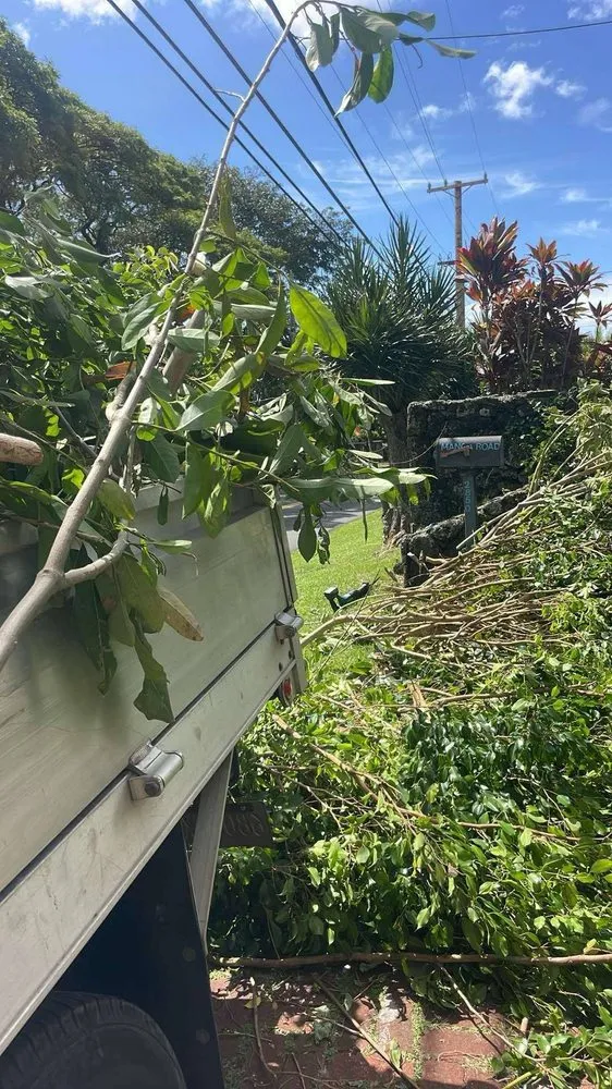 Affordable yard cleanup service in Honolulu, HI - Hawaii Fix Pros