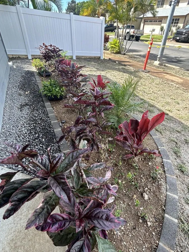 Reliable yard cleanup service experts serving Honolulu, HI - Hawaii Fix Pros