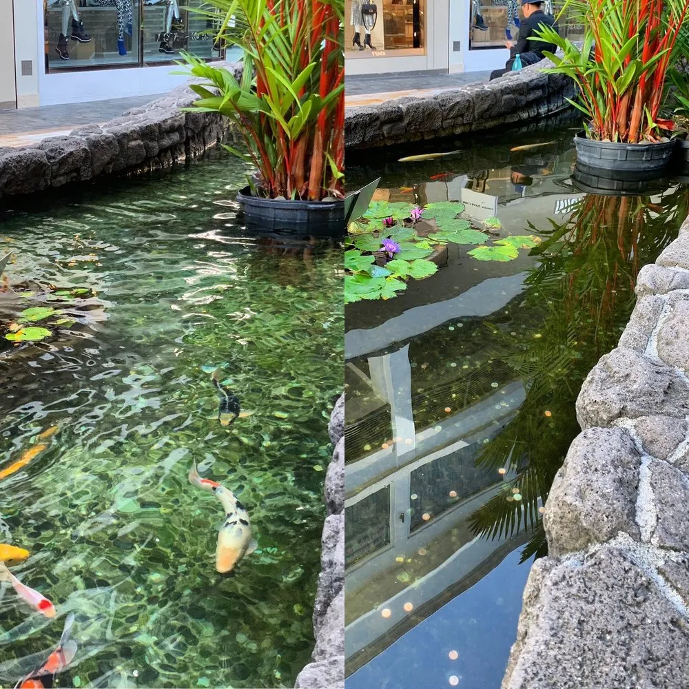 Reliable outdoor landscaping with custom design in Honolulu, HI by Hawaii Koi & Ponds
