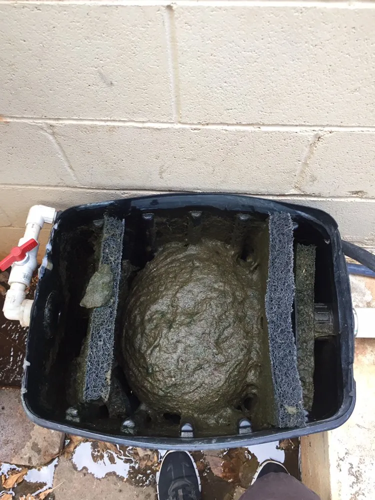 Reliable outdoor landscaping in Honolulu, HI - Hawaii Koi & Ponds