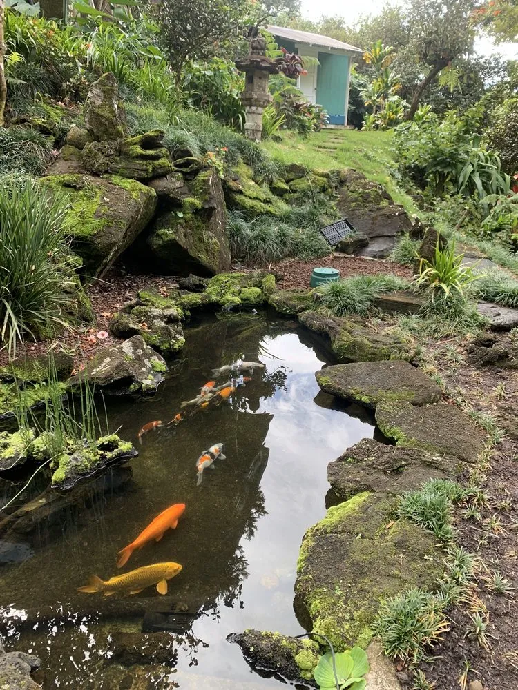 Expert residential landscaping for beautiful yards in Honolulu, HI by Hawaii Koi & Ponds