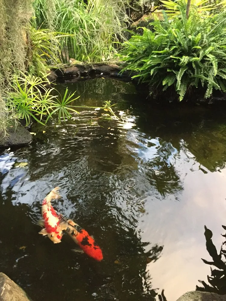 Trusted garden landscaping experts serving Honolulu, HI - Hawaii Koi & Ponds