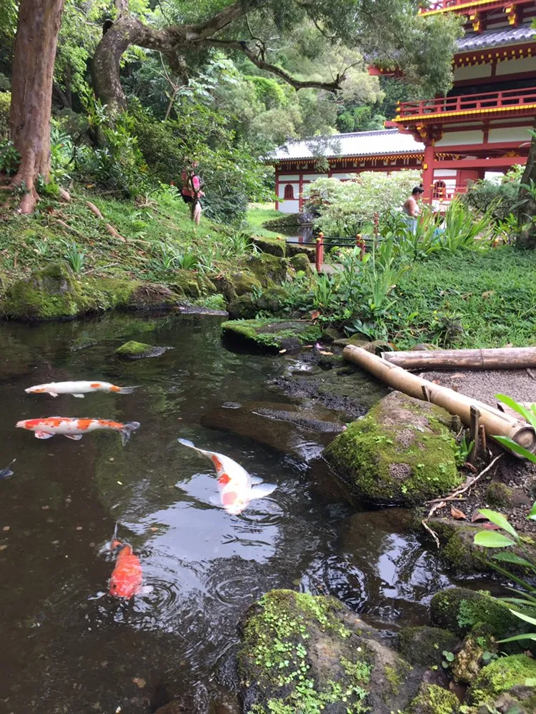 Local outdoor landscaping in Honolulu, HI by Hawaii Koi & Ponds