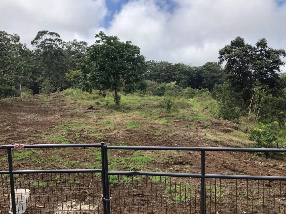 Professional landscaping services experts serving Paauilo, HI - Hawaii Land Clearing