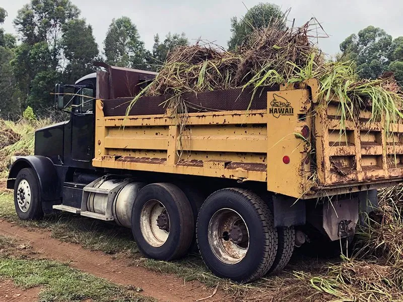 Affordable lawn care service experts serving Paauilo, HI - Hawaii Land Clearing