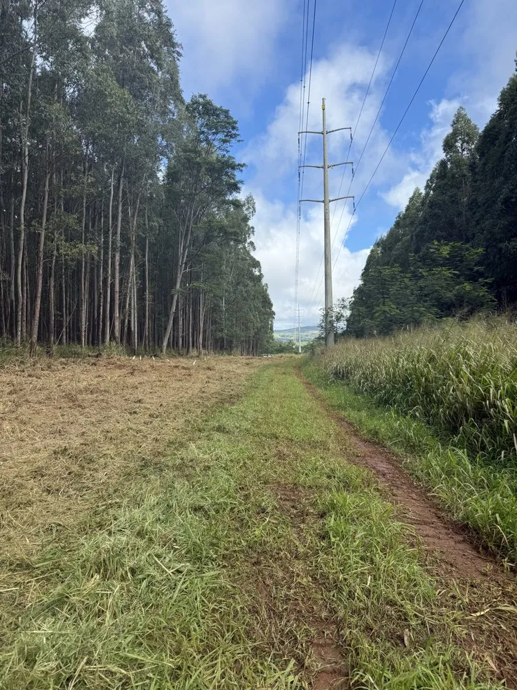 Custom landscaping services experts serving Kapaʻa, HI - Hawaii Land Solutions