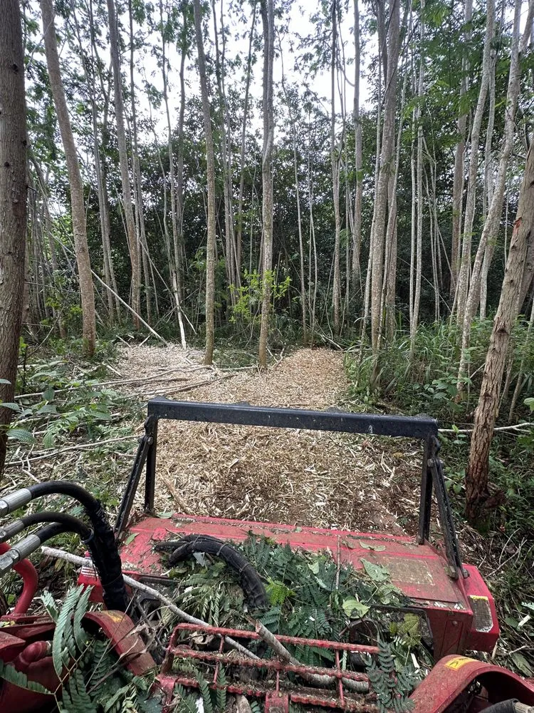 Top-rated landscaping services for homes in Kapaʻa, HI by Hawaii Land Solutions