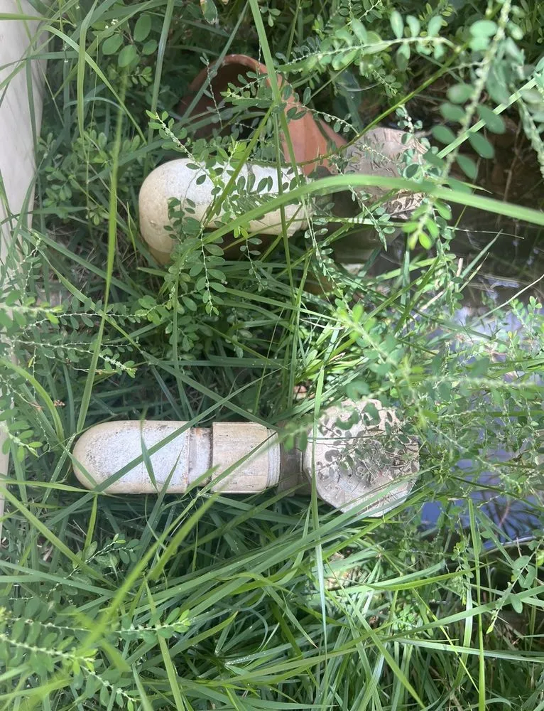 Affordable yard maintenance with custom design in Honolulu, HI by Hawaii Sprinkler and Lighting