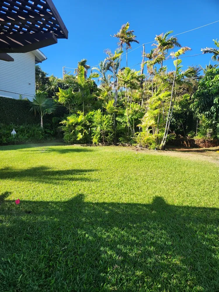 Professional landscaping services near you in Honolulu, HI by Hawaii Sprinkler and Lighting