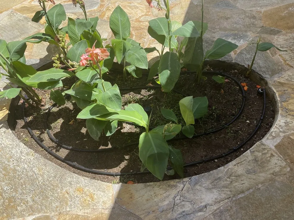 Professional yard cleanup service in Honolulu, HI - Hawaii Sprinkler and Lighting