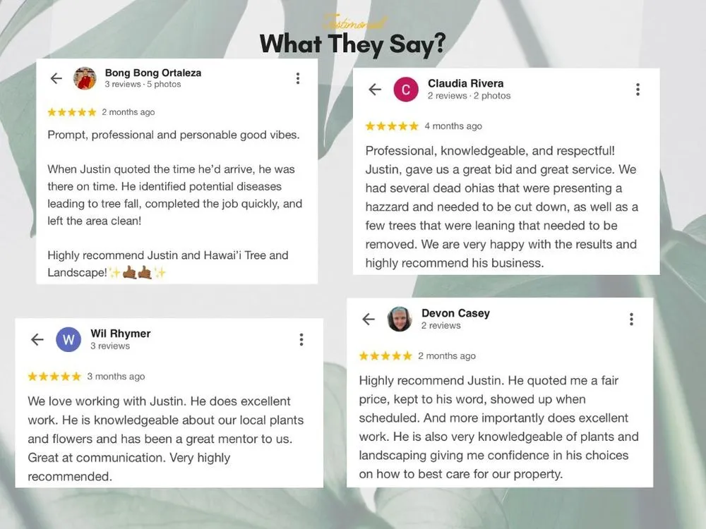 Reliable yard maintenance in Pāhoa, HI - Hawaii Tree And Landscape