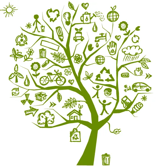 Reliable landscaping services for homes across Ewa Beach, HI - Hawaii Tree Service Company