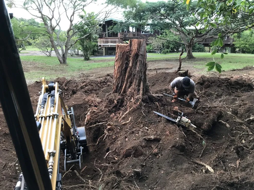 Professional yard maintenance experts serving Haiku-Pauwela, HI - Hawaii Vegetation Control