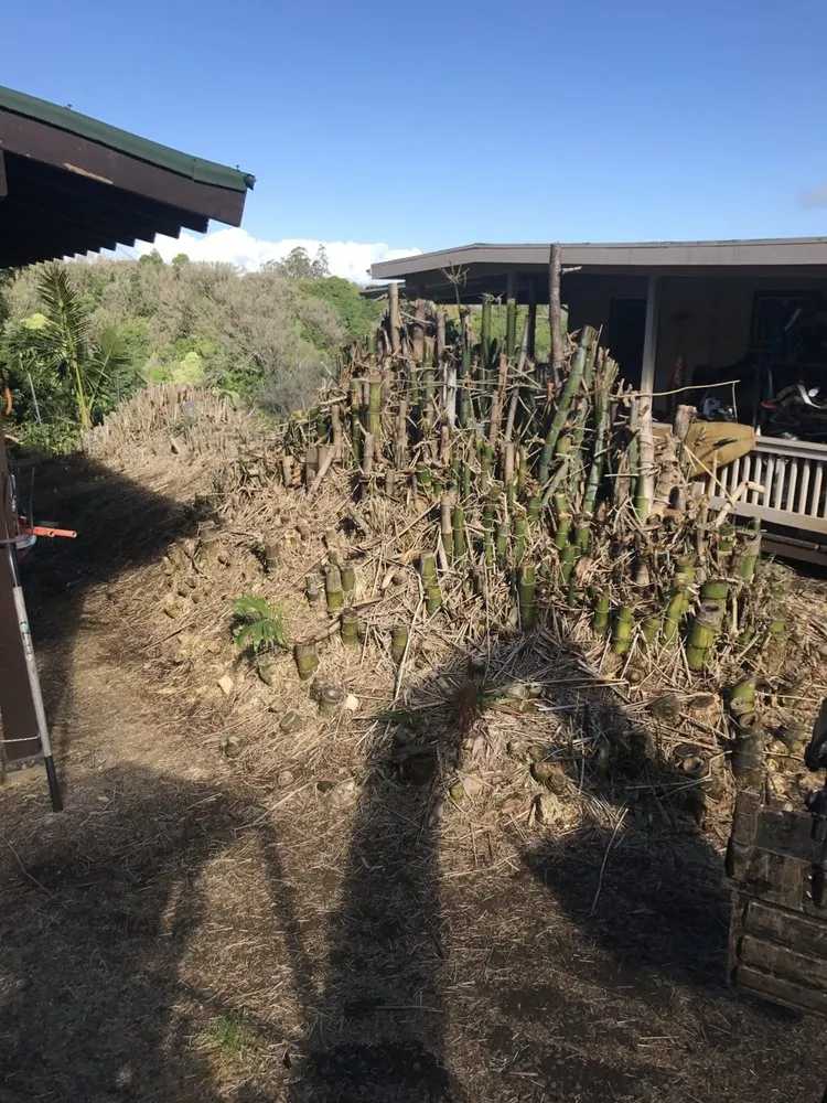 Expert residential landscaping in Haiku-Pauwela, HI - Hawaii Vegetation Control