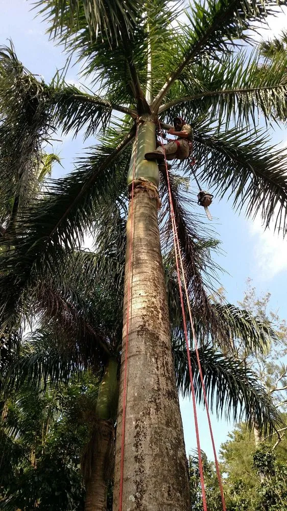 Professional garden landscaping experts serving Haiku-Pauwela, HI - Hawaii Vegetation Control