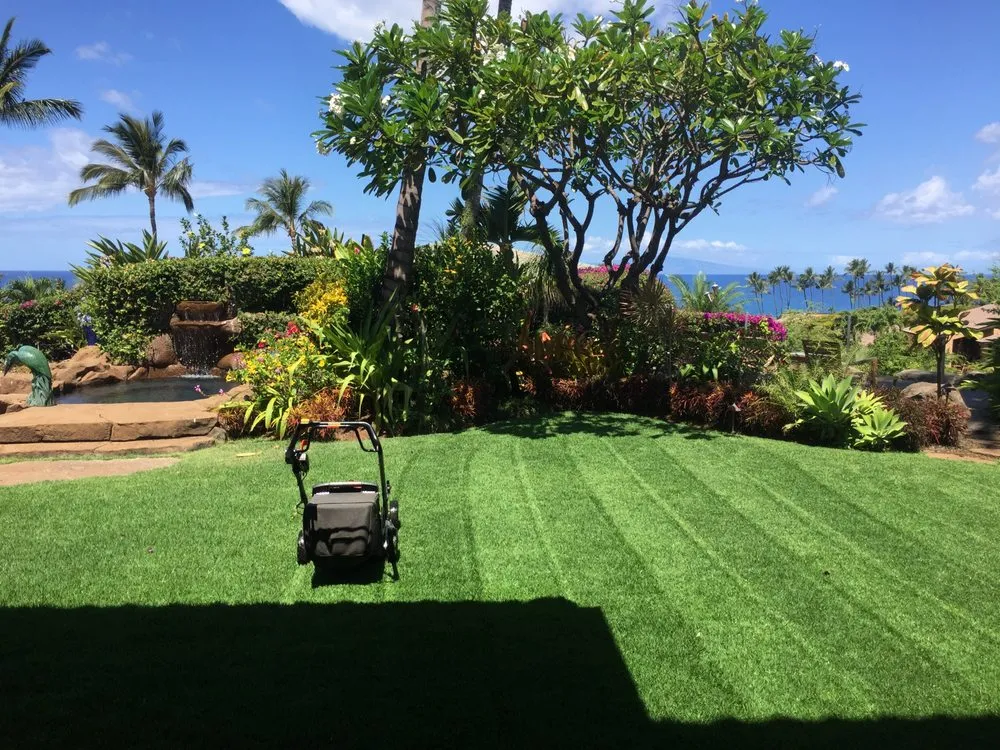 Affordable lawn mowing service experts serving Haiku-Pauwela, HI - Hawaii Vegetation Control