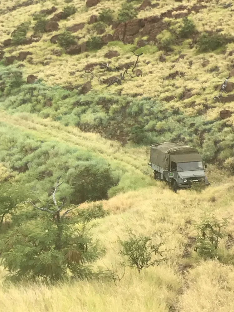 Local yard maintenance in Haiku-Pauwela, HI by Hawaii Vegetation Control