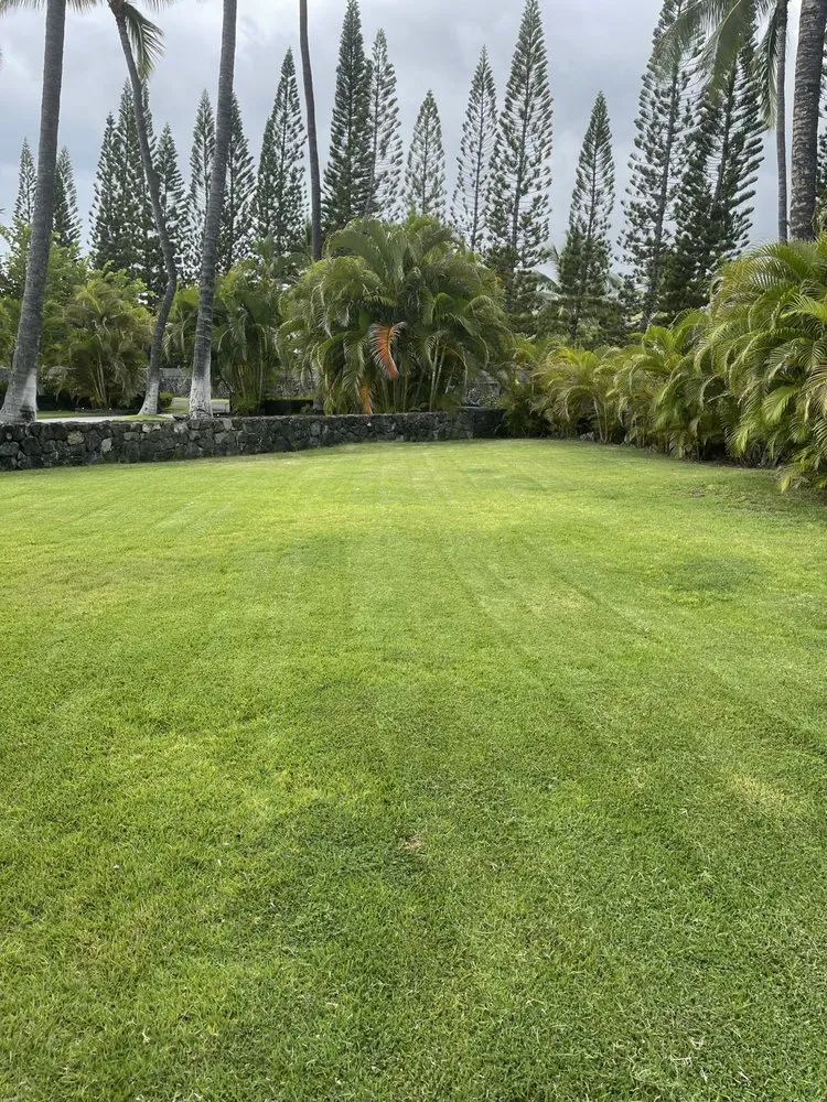 Custom yard cleanup service in Kailua-Kona, HI - Hawaii View Landscaping