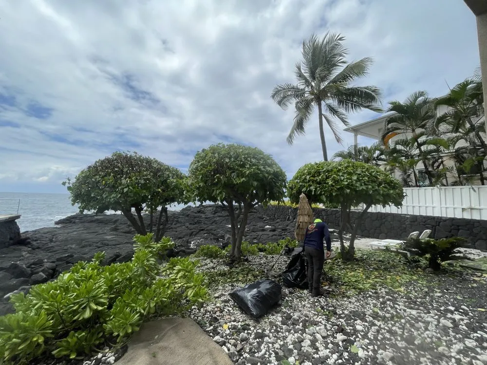 Affordable yard cleanup service in Kailua-Kona, HI by Hawaii View Landscaping