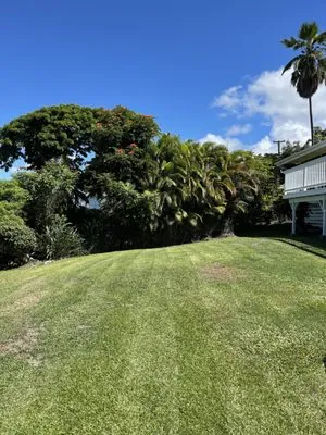 Hawaii View Landscaping Logo