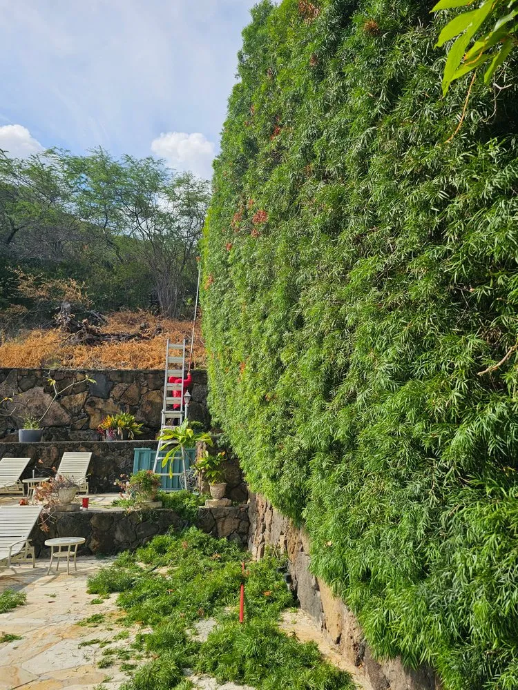 Expert outdoor landscaping for residential properties in Honolulu, HI by Hawaii Vista Masterscape, Inc