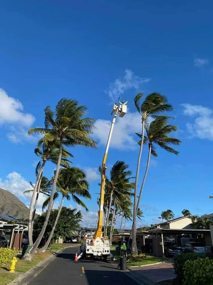 Top-rated landscape design in Honolulu, HI by Hawaii Vista Masterscape, Inc