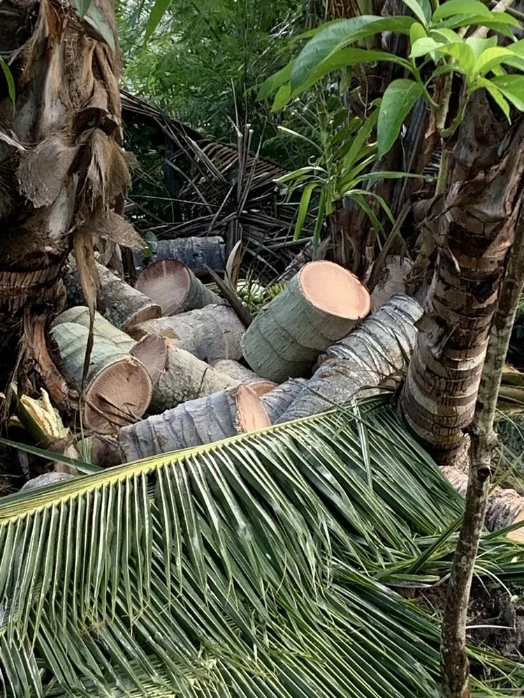 Trusted residential landscaping for beautiful yards in Honolulu, HI by Hawaii Vista Masterscape, Inc