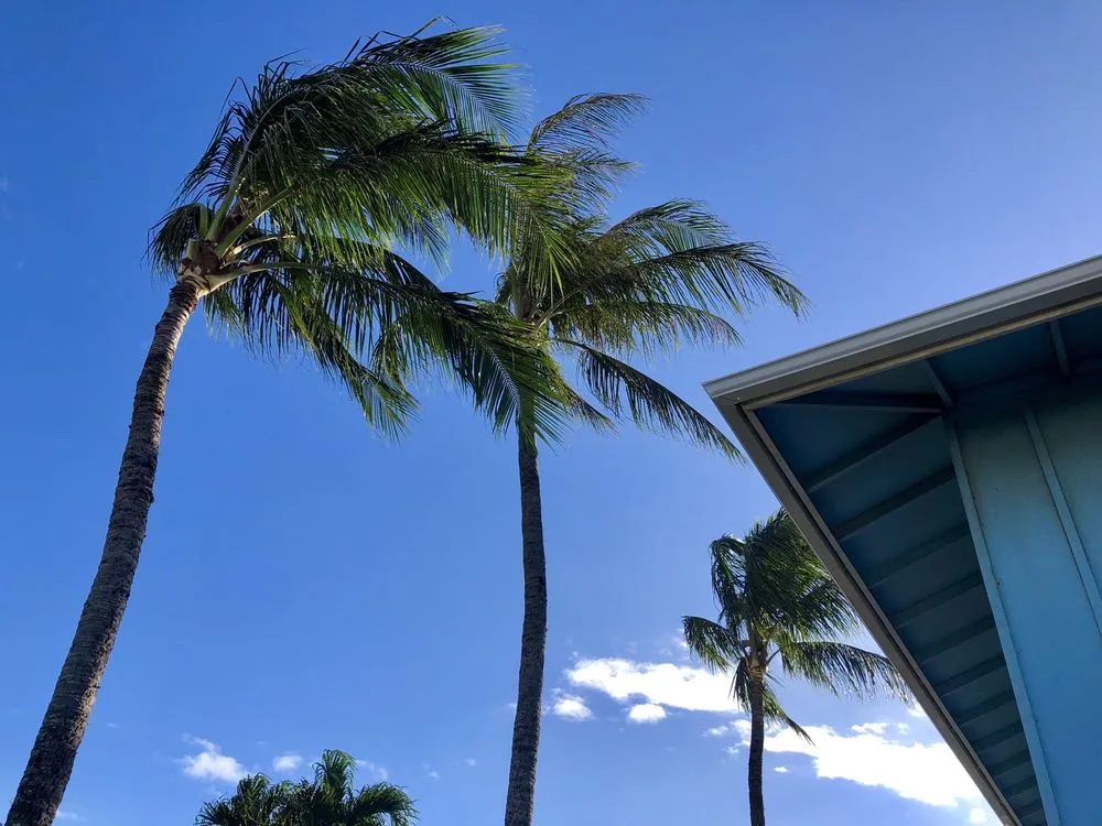 Custom garden landscaping in Honolulu, HI - Hawaii Vista Masterscape, Inc