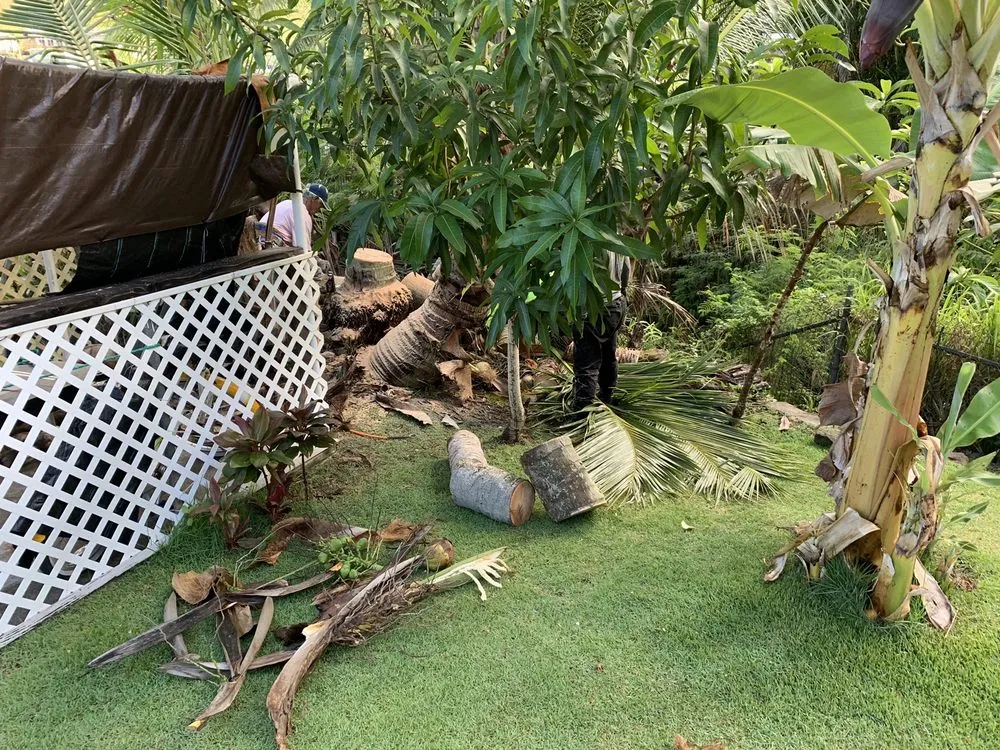 Custom landscape design experts serving Honolulu, HI - Hawaii Vista Masterscape, Inc