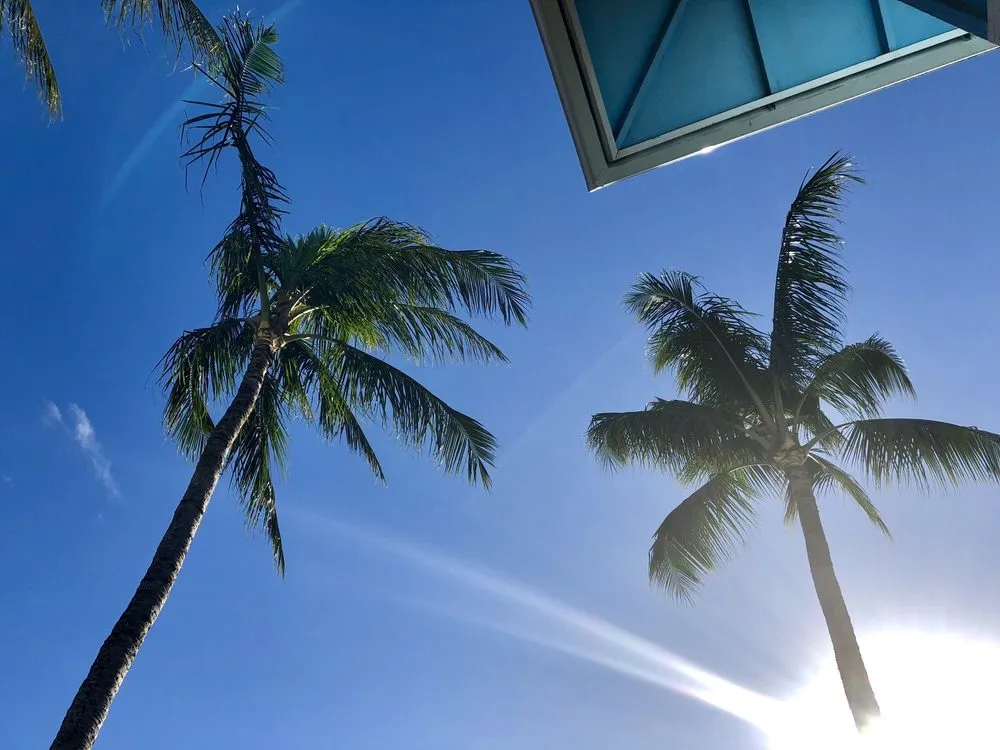 Professional lawn mowing service in Honolulu, HI - Hawaii Vista Masterscape, Inc