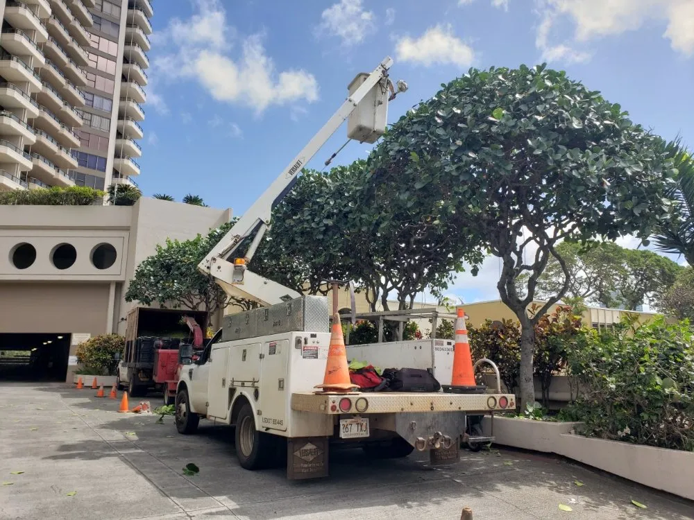 Trusted garden landscaping for residential properties across Honolulu, HI - Hawaii Vista Masterscape, Inc