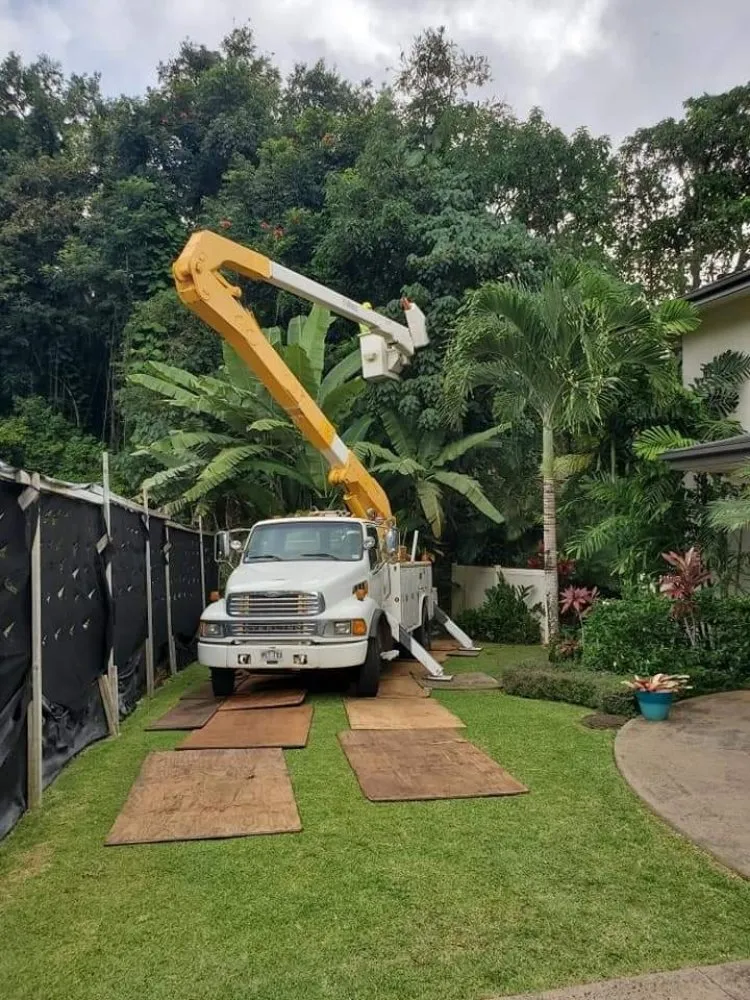 Custom yard maintenance experts serving Honolulu, HI - Hawaii Vista Masterscape, Inc