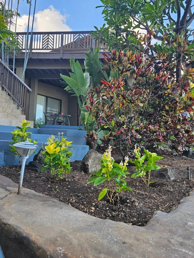 Local outdoor landscaping in Honolulu, HI by Hawaii Vista Masterscape, Inc