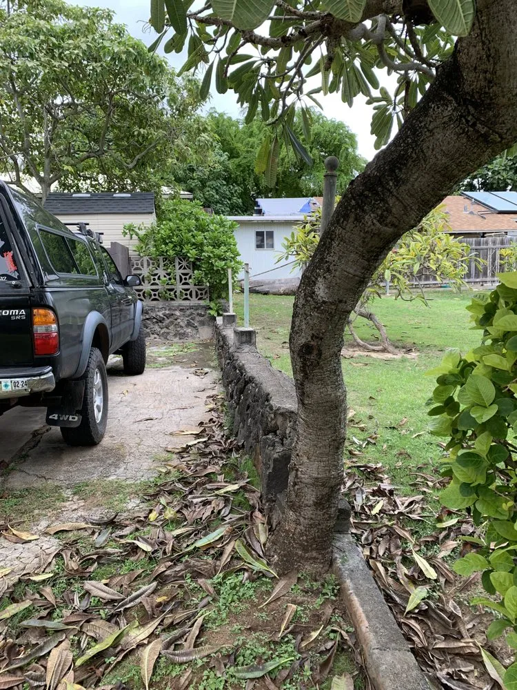 Reliable yard maintenance for residential properties in Honolulu, HI by Hawaii Vista Masterscape, Inc
