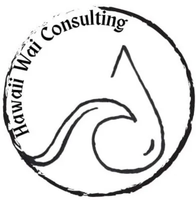 Hawaii Wai Consulting