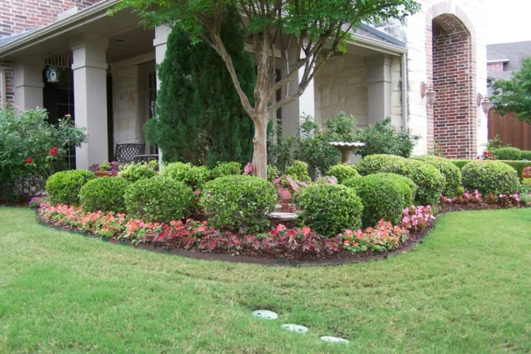 Expert lawn care service experts serving Wylie, TX - Hawaiian Landscape Services
