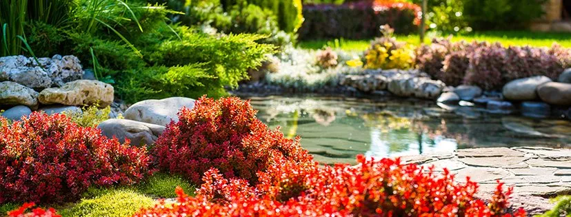 Top-rated yard maintenance near you in Wylie, TX by Hawaiian Landscape Services