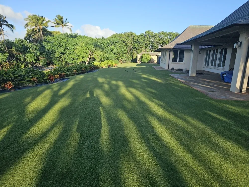 Affordable landscape installation for residential properties across Wailuku, HI - Hawaiian Oasis Landscape