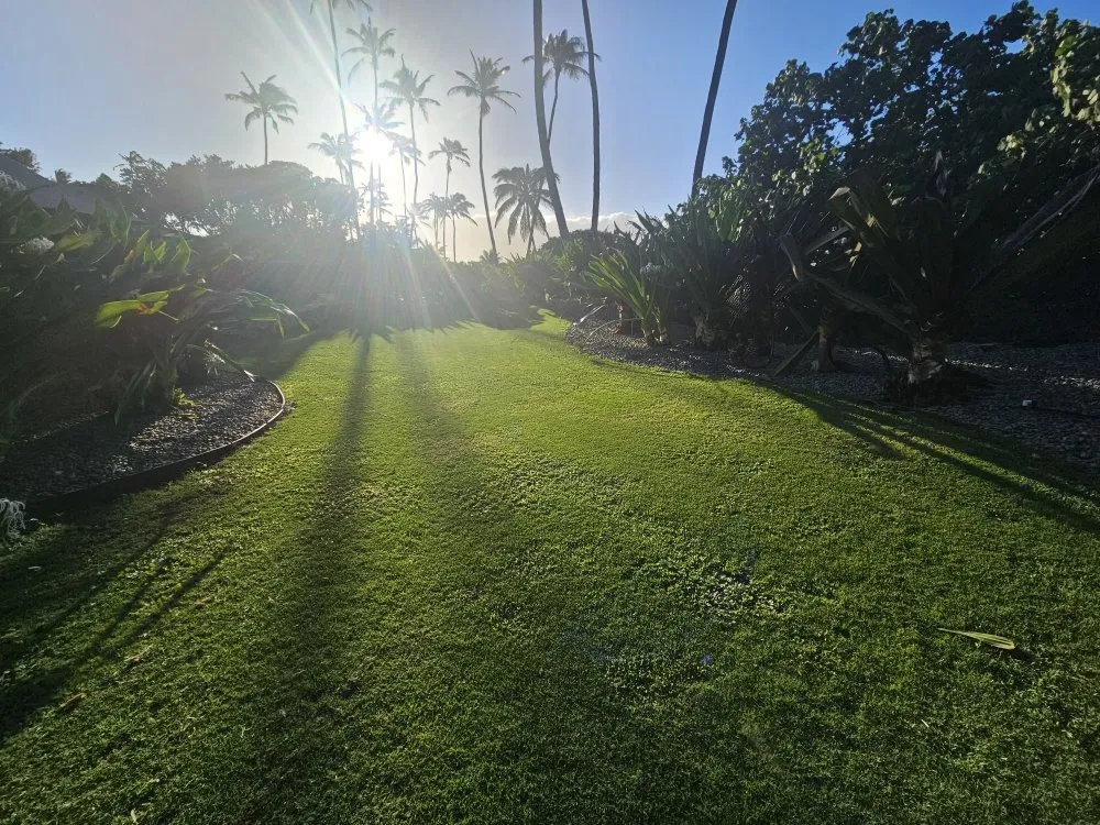 Trusted landscape installation experts serving Wailuku, HI - Hawaiian Oasis Landscape