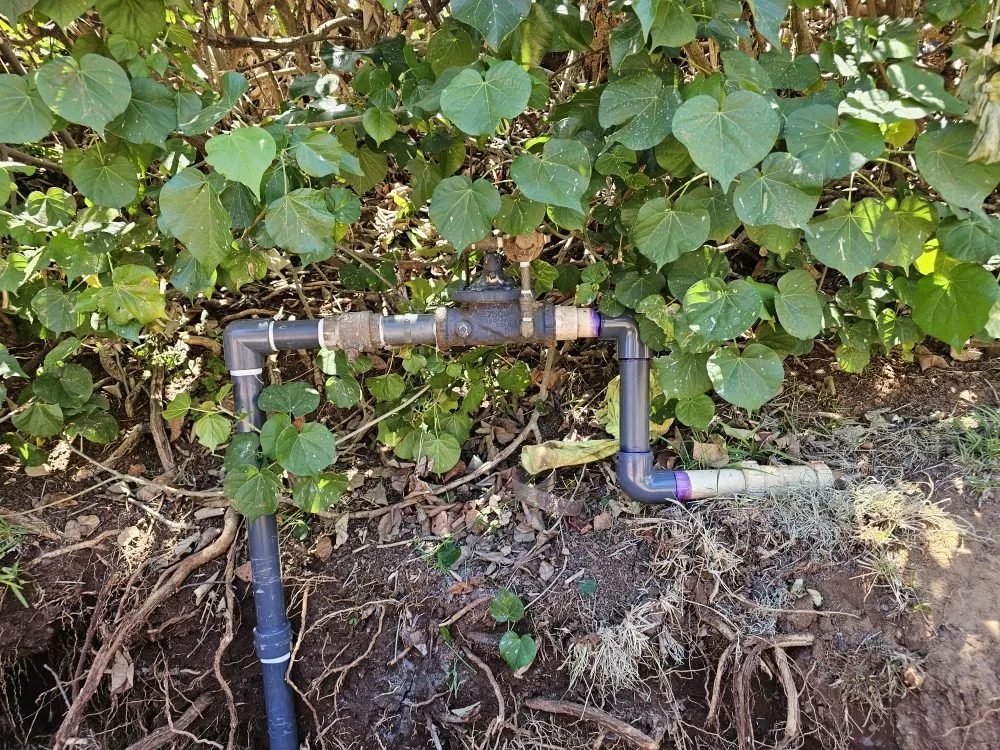 Affordable landscaping services for homes in Wailuku, HI by Hawaiian Oasis Landscape