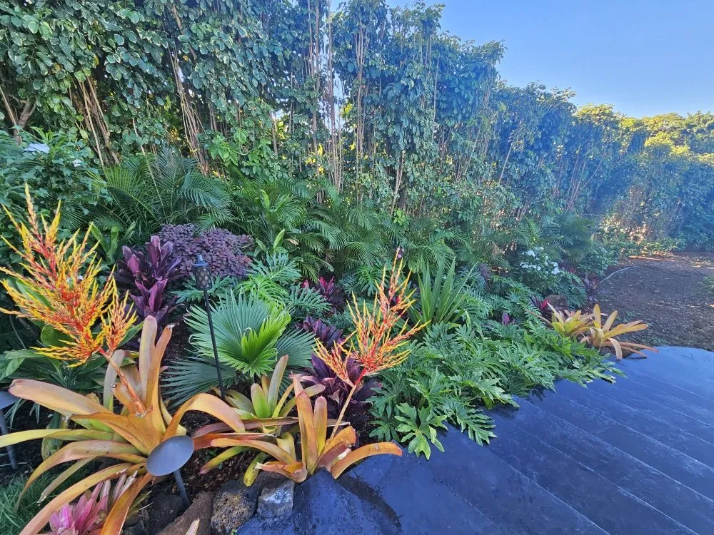 Custom yard cleanup service experts serving Wailuku, HI - Hawaiian Oasis Landscape